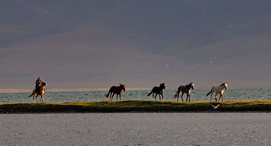 Images from Kyrgyzstan - a country that is every photographer’s delight!